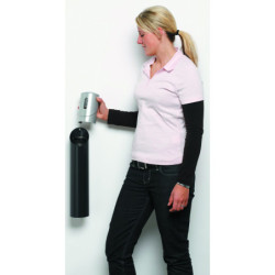 Anthracite/ tête argent