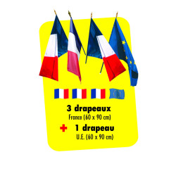 Lot pavoisement ECUSSON + DRAPEAUX