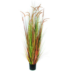 Crételle des prés 180 cm