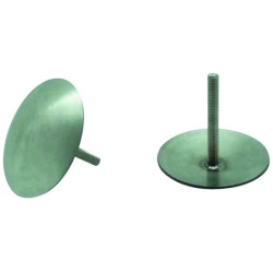 Lot de 50 clous de voirie inox