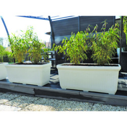 Jardinière de ville JARDINIA